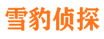 红原找人公司